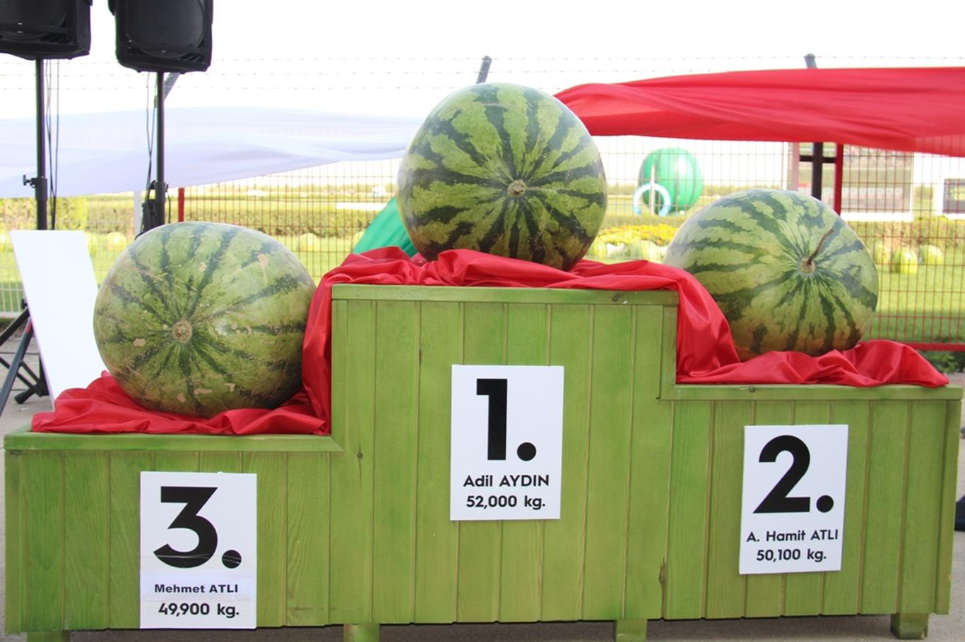 Diyarbakır’da "Kültür ve Karpuz" festivali düzenlendi Diyarbakır’da "Kültür ve Karpuz" festivali düzenlendi